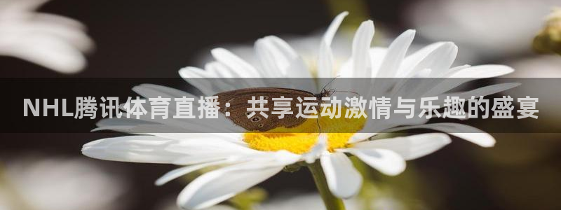 河豚篮球直播：NHL腾讯体育直播：共享运动激情与乐趣的盛宴