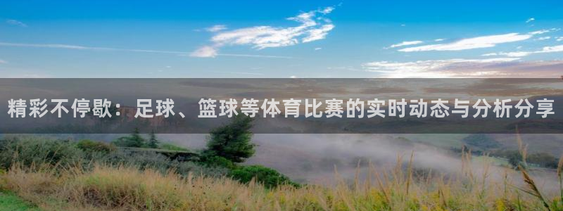 河豚体育app下载：精彩不停歇：足球、篮球等体育比赛的实时动态与分析分享