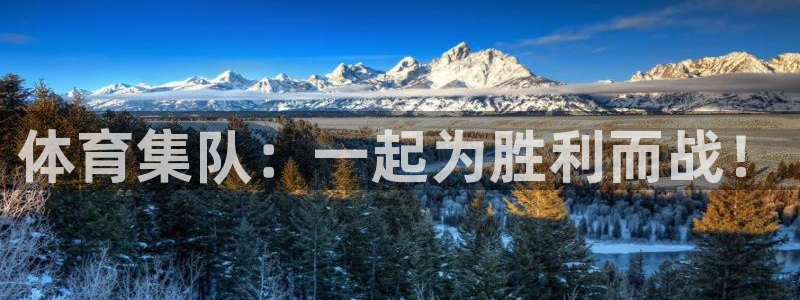河豚nba篮球直播在线观看：体育集队：一起为胜利而战！