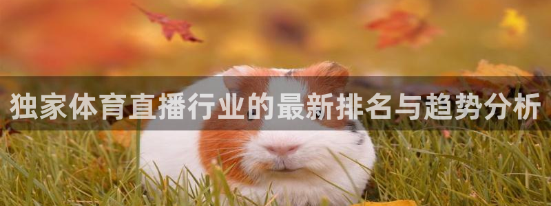 河豚体育直播app官网入口：独家体育直播行业的最新排名与趋势分析