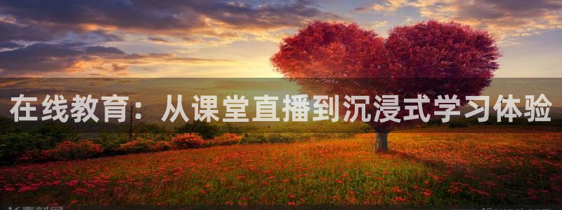 河豚nba篮球直播在线观看：在线教育：从课堂直播到沉浸式学习体验