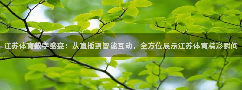 河豚体育直播nba：江苏体育数字盛宴：从直播到智能互动，全方位展示江苏体育精彩瞬间