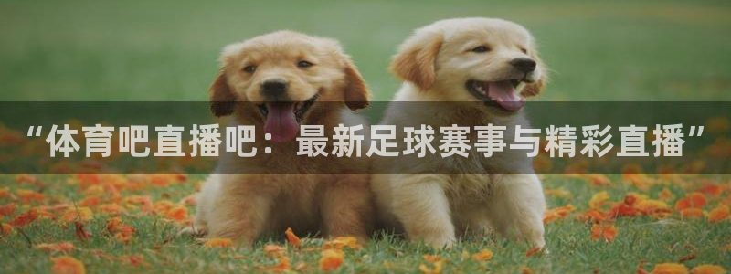 河豚tv直播：“体育吧直播吧：最新足球赛事与精彩直播”