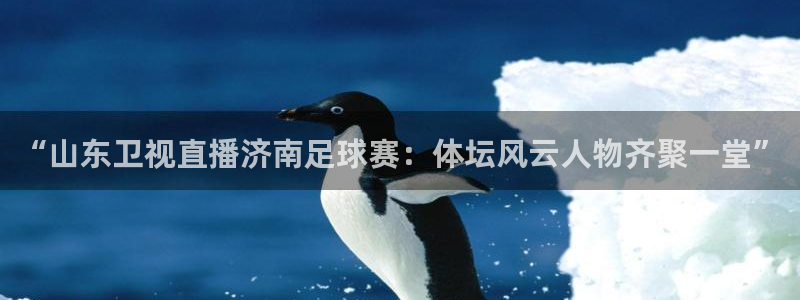 河豚nba直播在线直播：“山东卫视直播济南足球赛：体坛风云人物齐聚一堂”