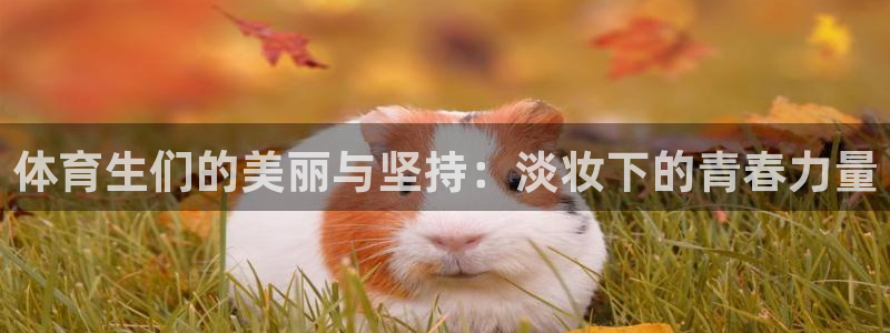 河豚足球比赛直播：体育生们的美丽与坚持：淡妆下的青春力量