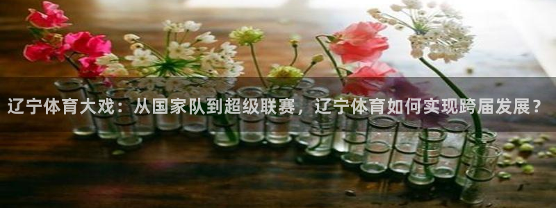 河豚体育app下载：辽宁体育大戏：从国家队到超级联赛，辽宁体育如何实现跨届发展？